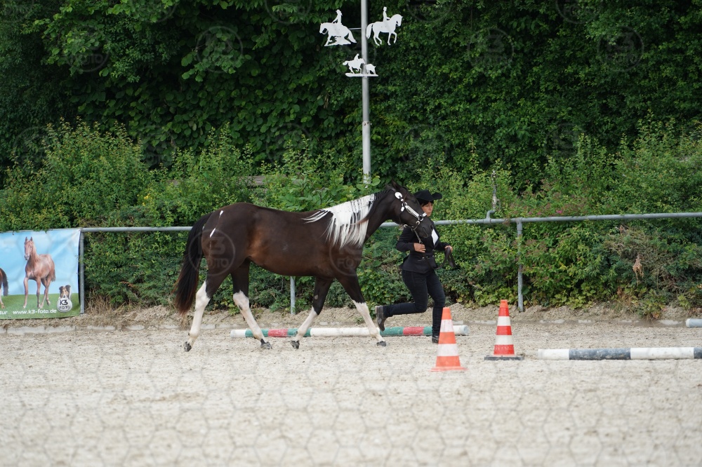s_A9_06614.jpg